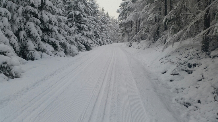As well as alpine skiing, the Cairngorms are home to fine cross country tracks 