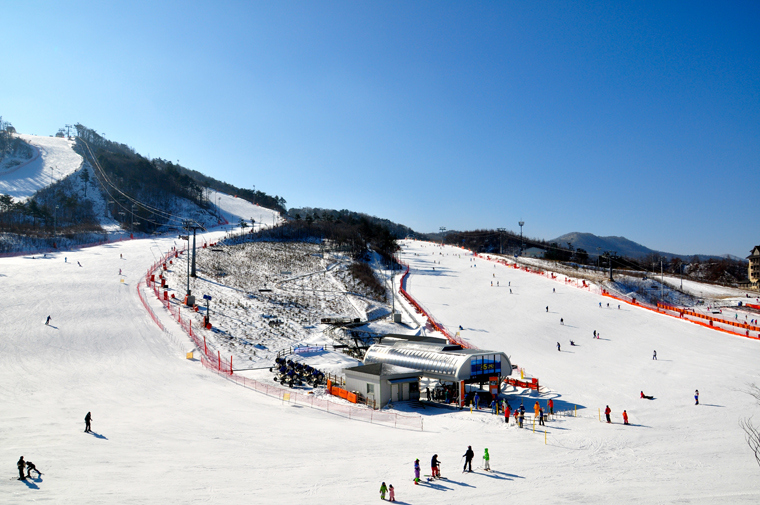 South Korea, where off-piste is a no-no but carving is all the rage | Abi Butcher