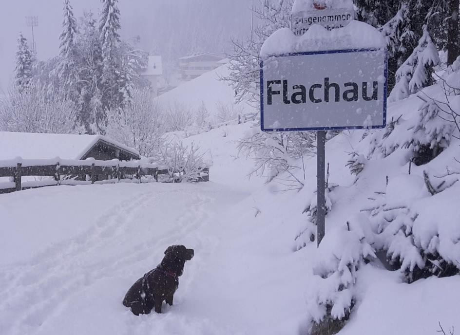 Flachau last Thursday. The resort, near Salzburg, Austria, scored 20 inches last week, with a further 9 predicted over the next two days | facebook.com/tirolerhof