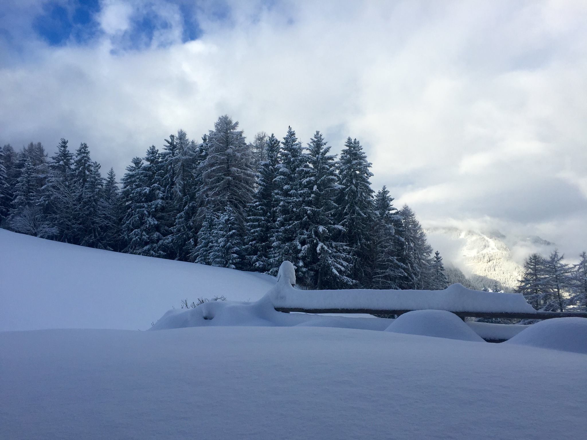 The Dolomites are reporting up to 80cm of powder in some spots | facebook.com/Dolomiti-Superski