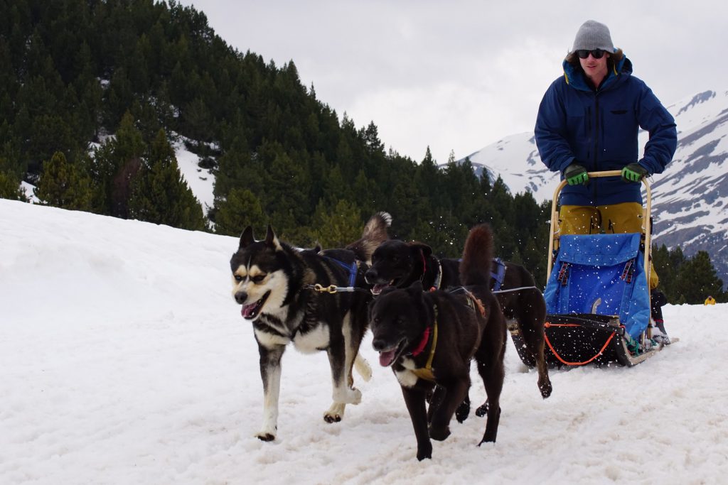 Matt Clark tries dog sledding in Grandvalira ski resort, Andorra