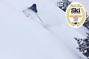 Völkl Aura wins Fall-Line Skiing's Freeride - Best For Big Mountain award