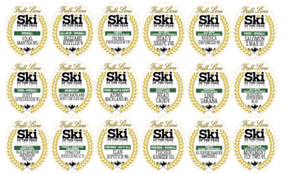 best men's skis