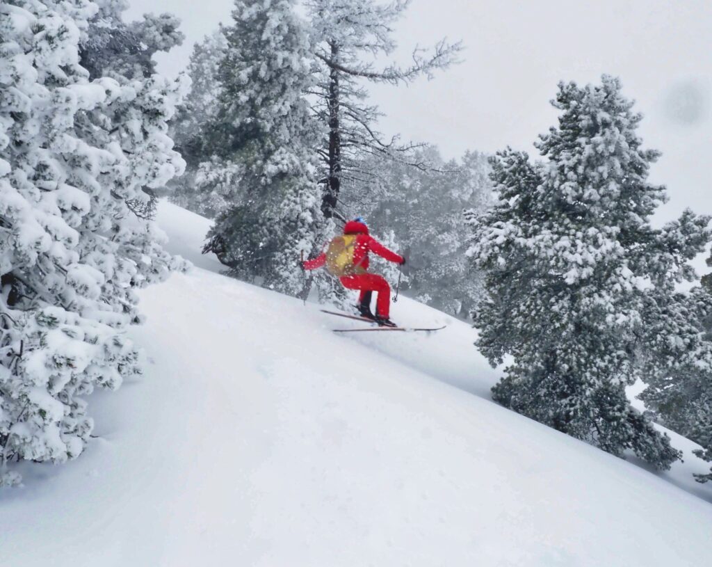 skier in red takes a little air in snowy setting surrounded by trees off piste