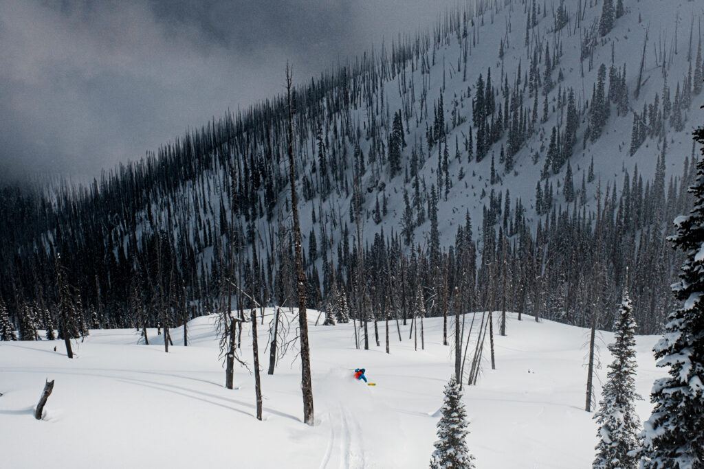 skinny dead/widlfire-burned trees puncture a mellow snow field, as a lone skier makes fresh tracks through the moody looking landscape in powder-filled British Columbia