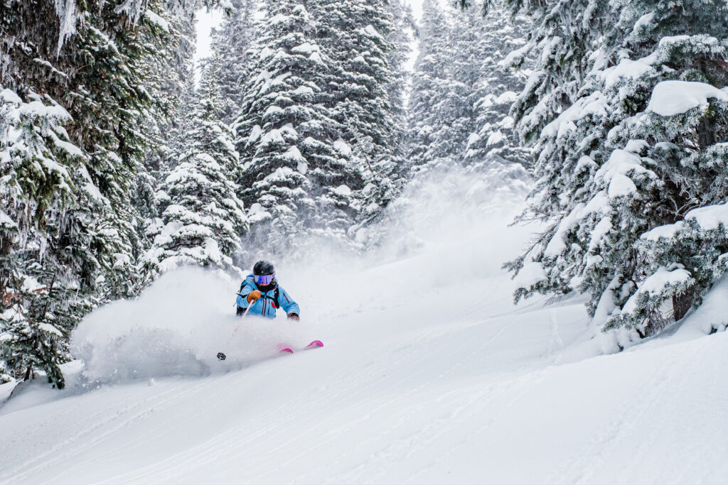 skier is waist deep in powder spray as they ski between pine or fir trees laden with snow. Pink ski tips, goggles and lower pole dominate shot of skier. Trees are enormous - can only be Canada