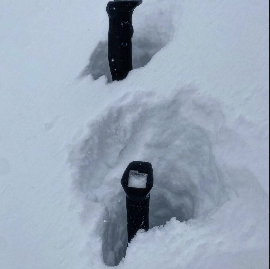 two ski poles are handle-deep in fresh snow