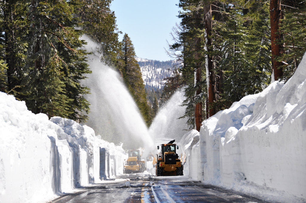 A road is dug out by two (maybe more) yellow snow clearing tractors, the snow walls either side of the road rising up above the snow clearer, shooting out snow onto the banks. Green pine trees line the road , based in the deep snow banks