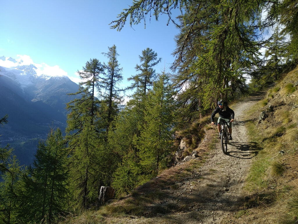 a biker descends a mountain trail, with green trees and path showing it's summertime