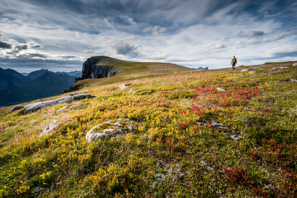 A man walks over a high alpine plateau with red and green flora, cliffy edges in the distance with the jagged peaks of far off mountains. The light is moody and grey with clouds in the sky