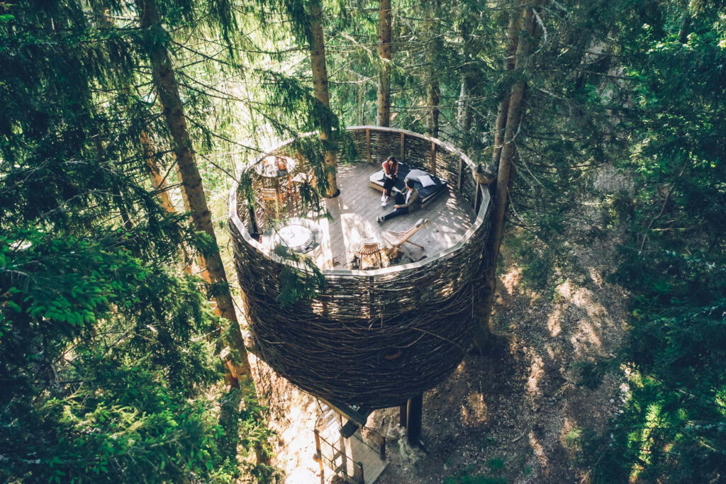 An elaborate treehouse, in the forest, some huge wicker-circular deck on top with people lounging - elevated in the trees