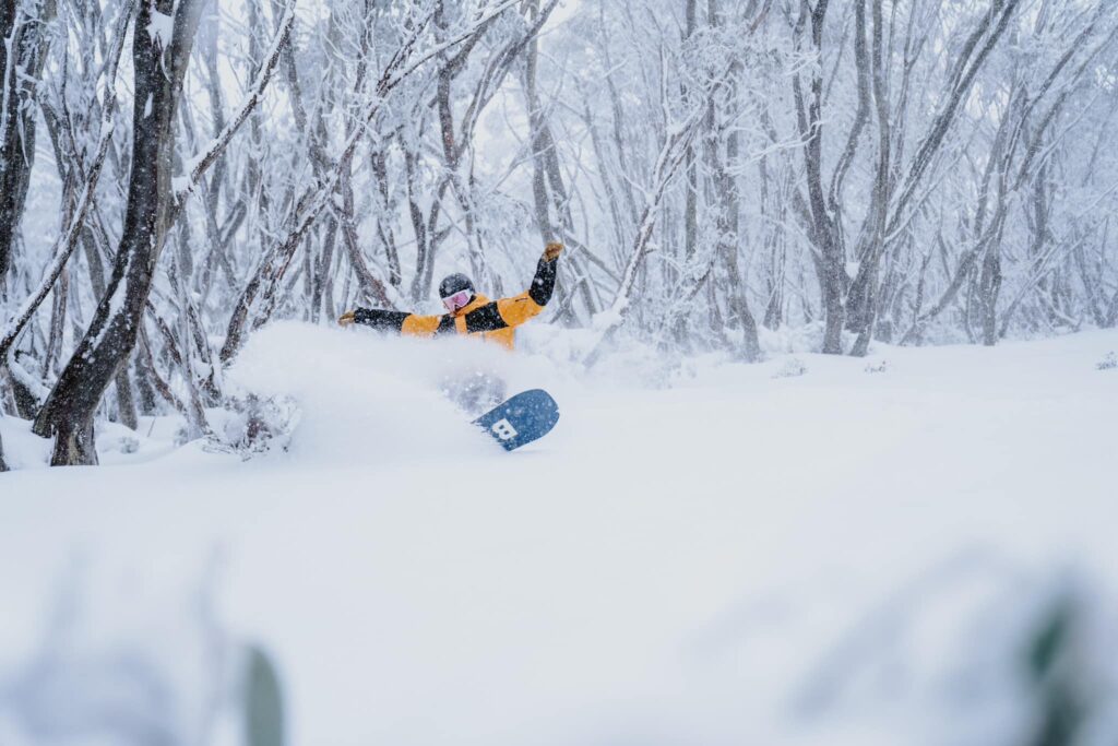 A snowboarder sprays snow on a heel-side turn in deep powder, birch-like trees of a forest behind
