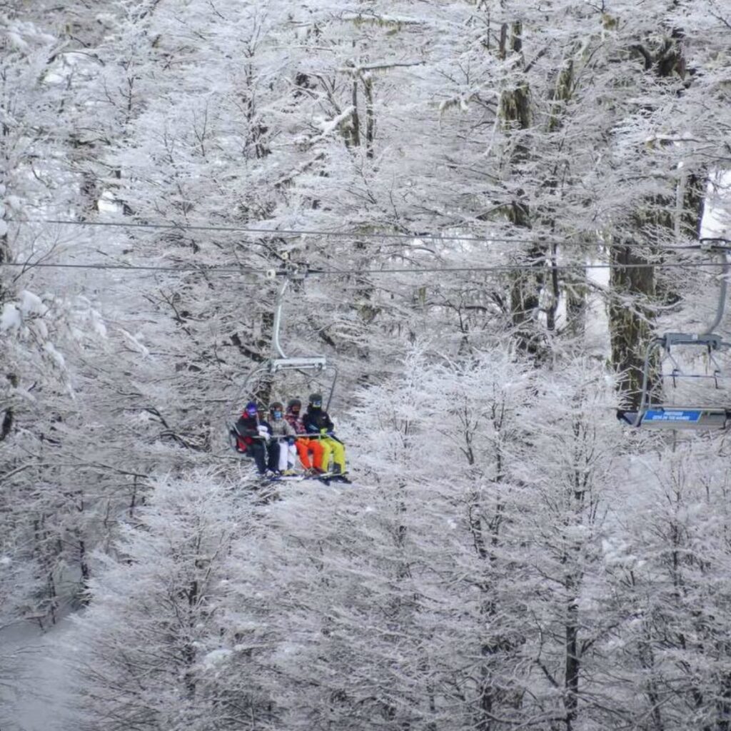 Four skiers in colourful clothing sit on a chairlift, the enormous trees behind them covered in snow