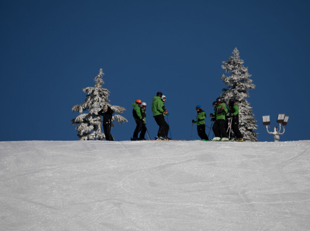 Ski instructors in training chat at the top of a piste, wearing green jackets, two snow covered trees behind them and blue sky