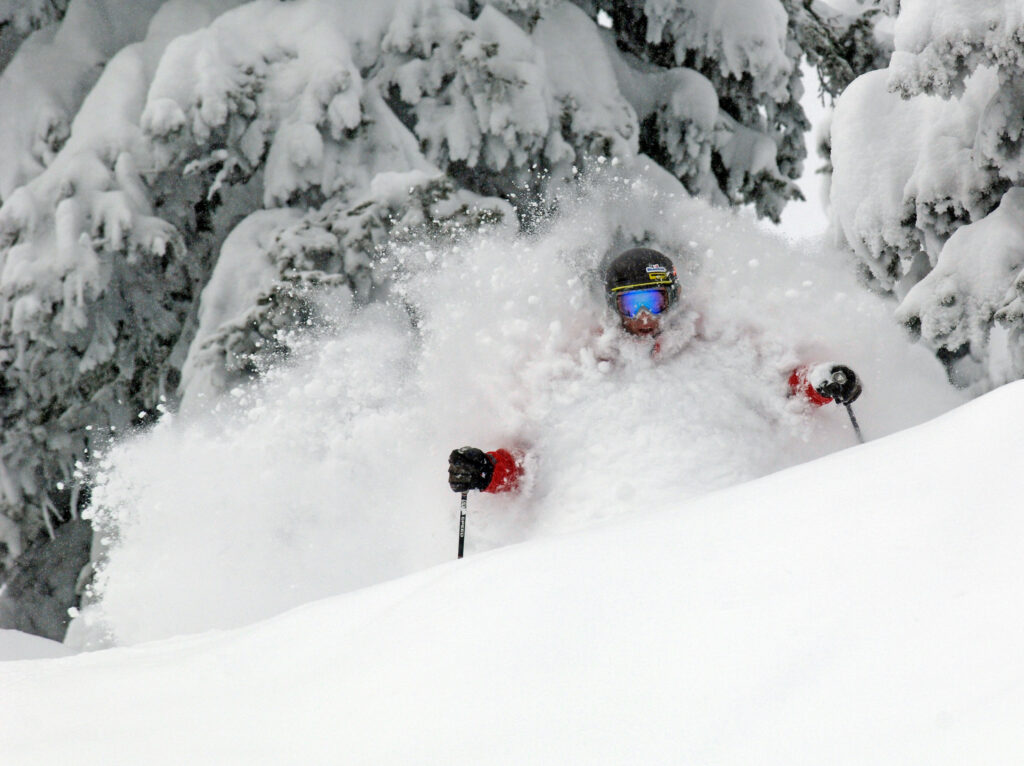 just face and hands visible as a skier skis deep powder, face shotting themselves, in front of a tree laden with snow