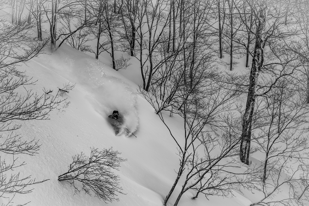 a skier in deep power, the light almost black and white, skiing the trees of Japan