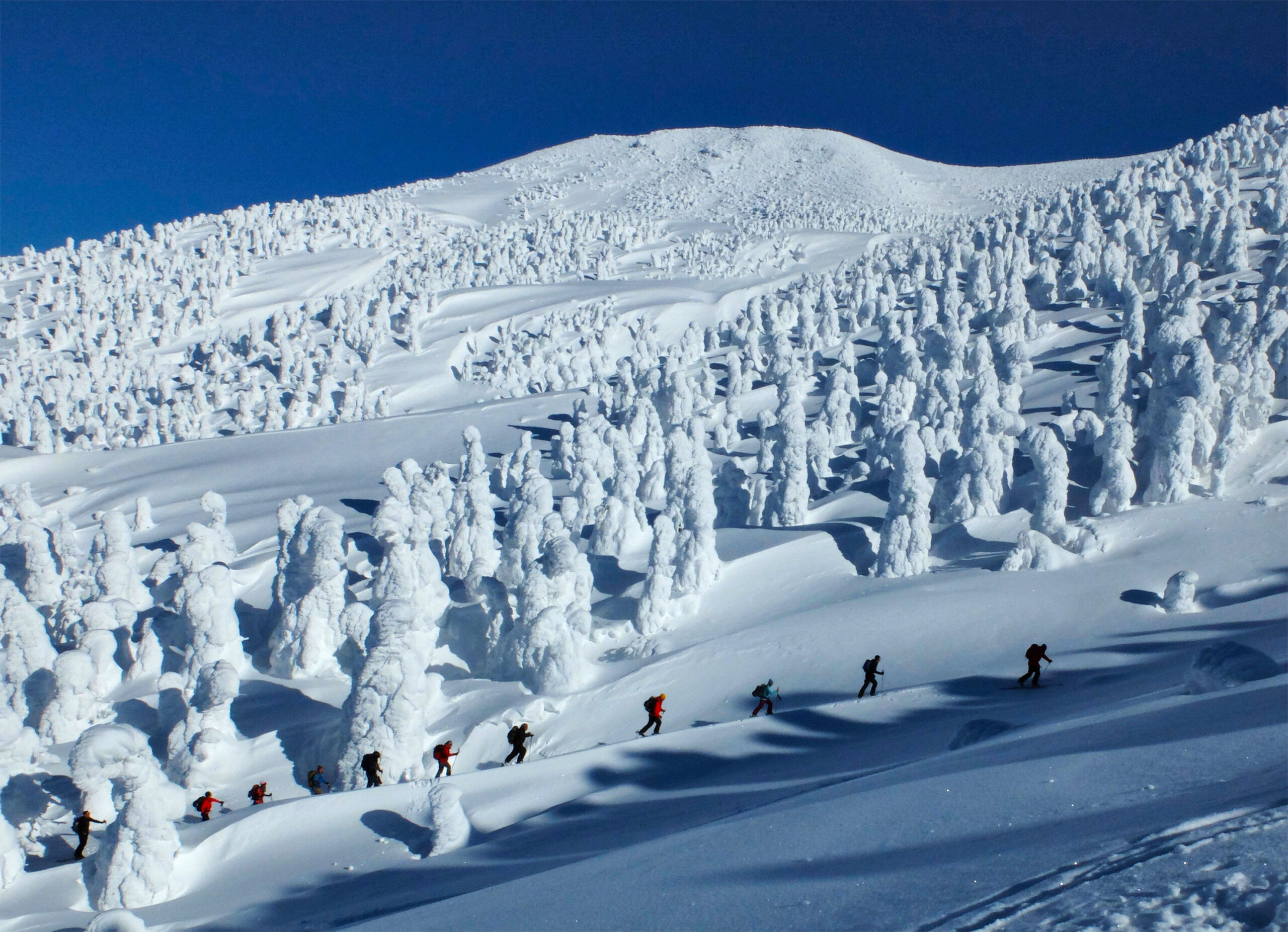 snow monsters and ski tourers