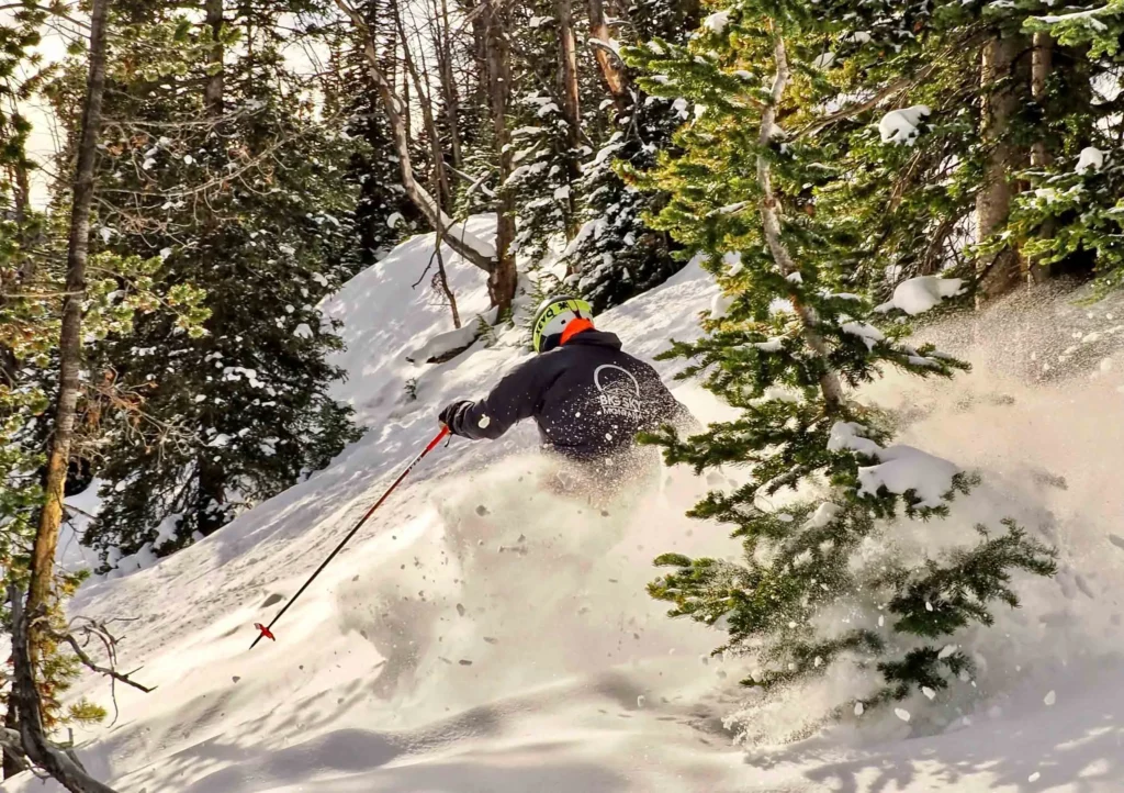 skier between fir trees