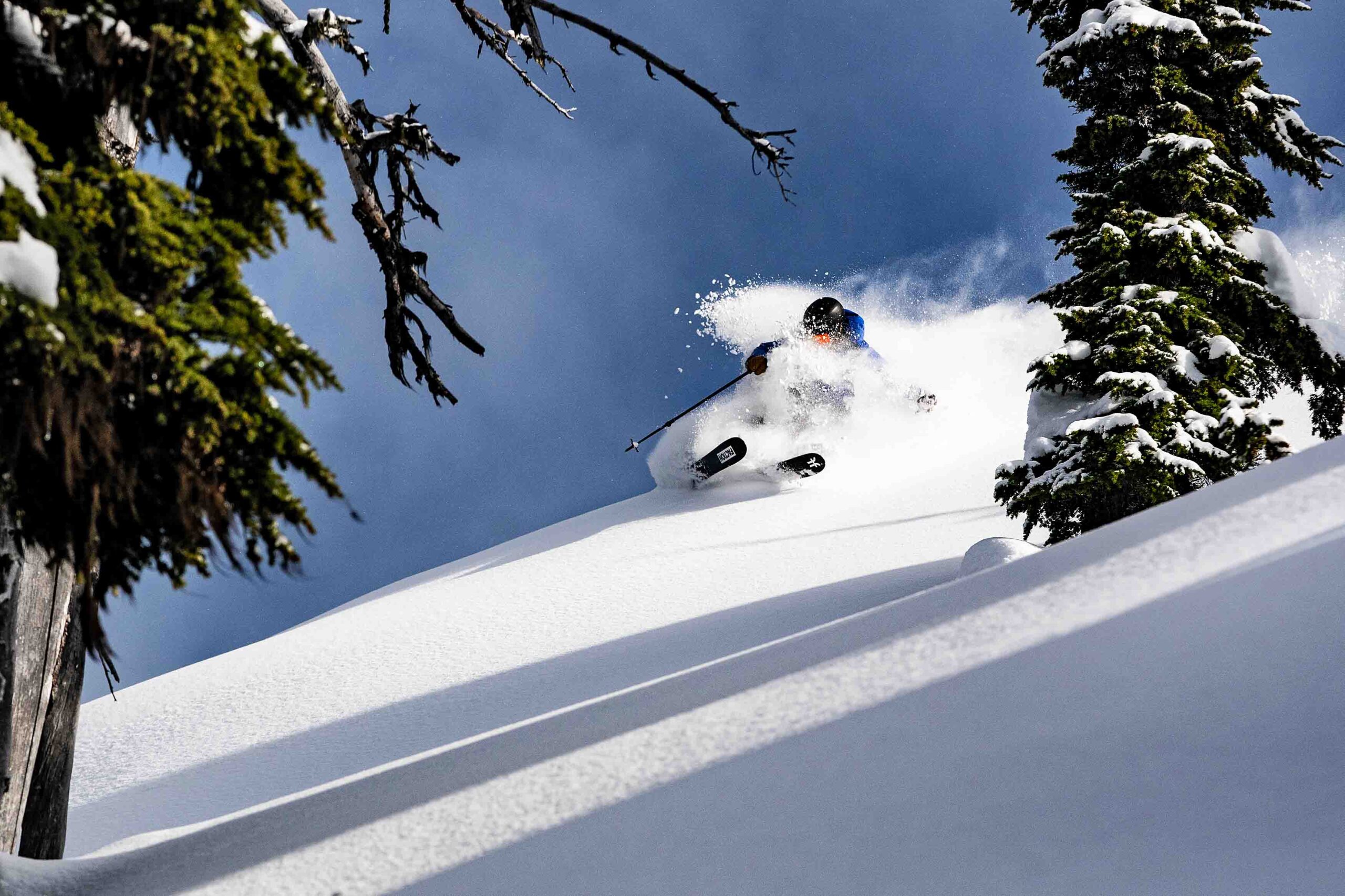 base tips of skis only visible in sick shot of skier on fresh untouched snow, against a blue sky