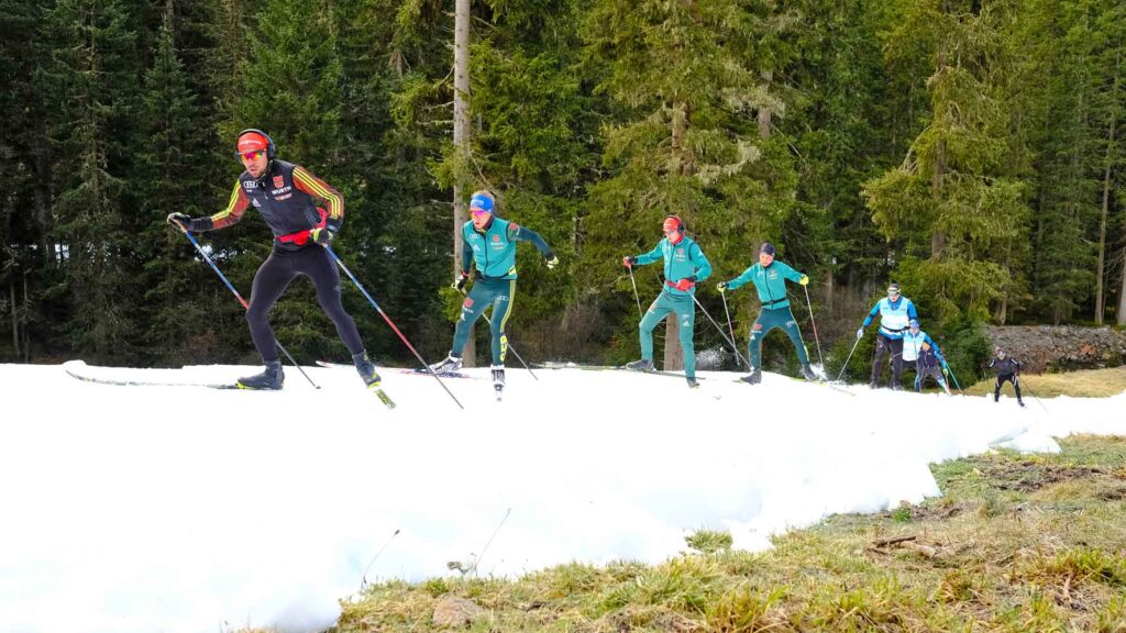 langlauf skiers training on a strip of snow through green woods