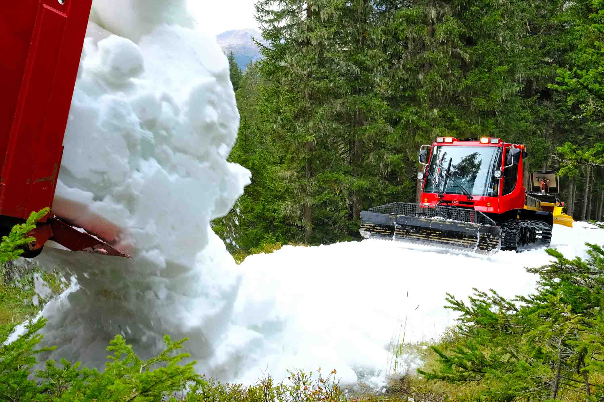 a red snow cat farms snow in the woods