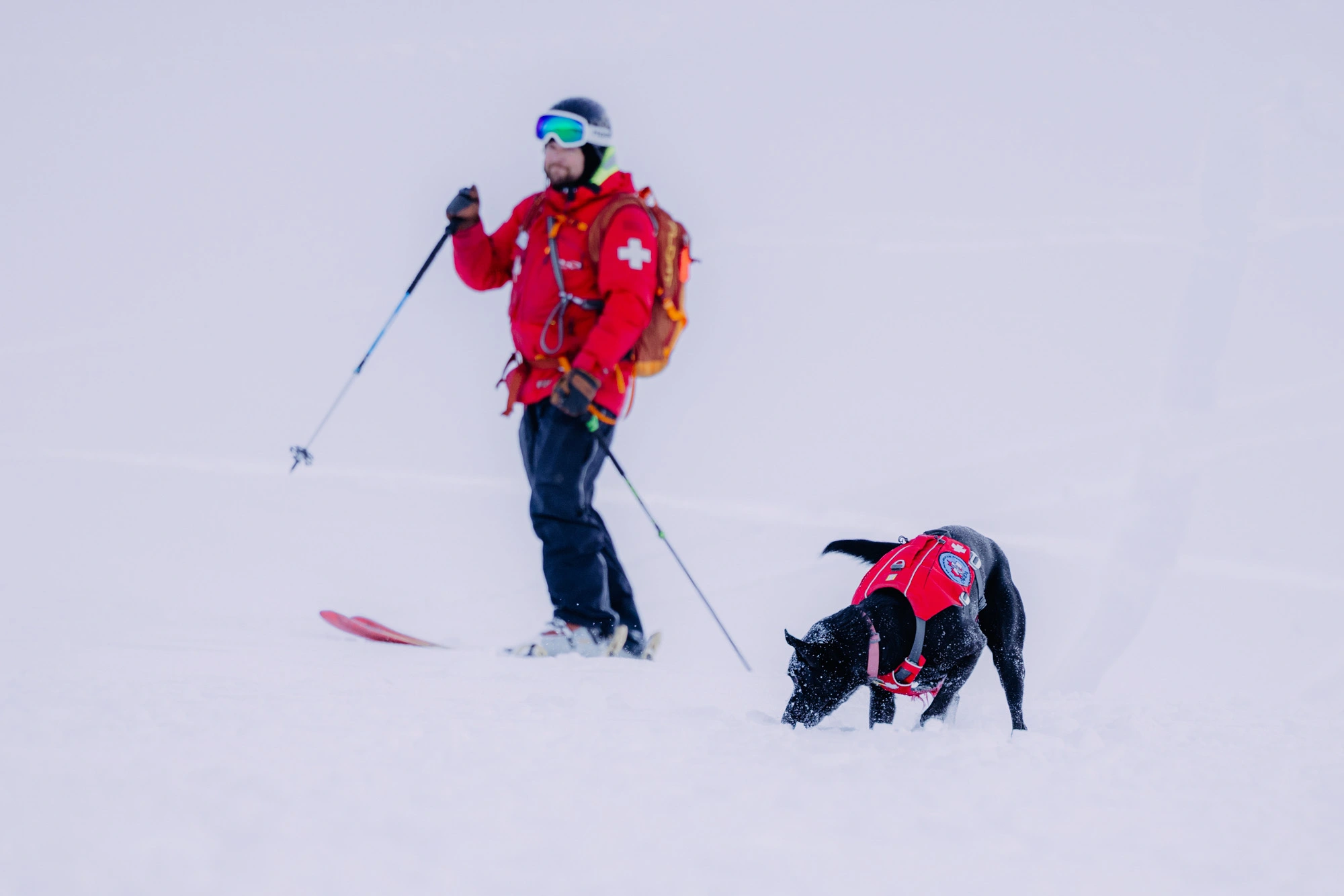 ski patrol and patrol dog