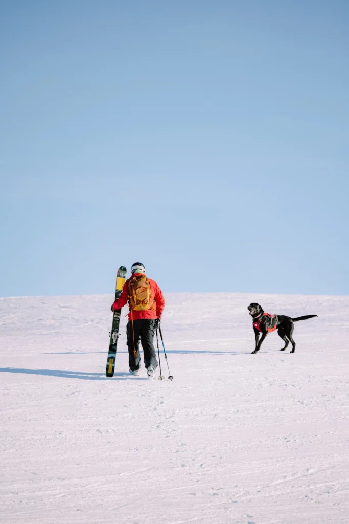 ski patrol, holds skis, with his dog